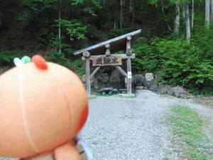 炭酸場