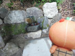 炭酸場