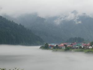 kawa