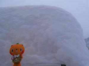 雪
