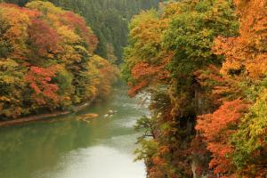 霧幻峡の渡し