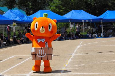 かぼまるの写真